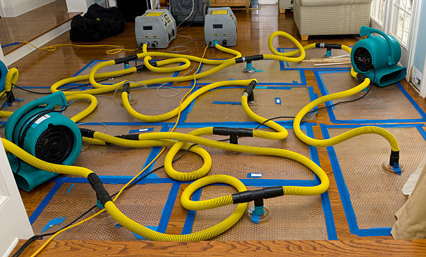 Professional Flood Damage Restoration technician working in Daytona Beach, FL